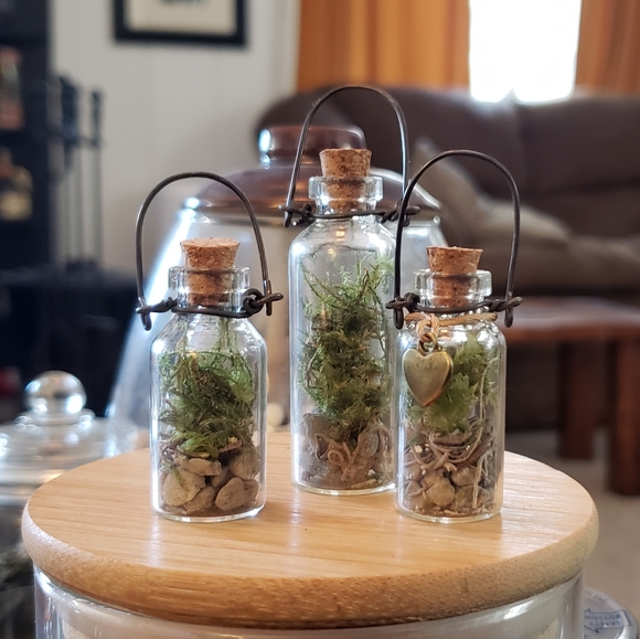 Mini terrariums ~ dried moss hanging terrarium in miniature bottles (5 & 10 mL) - Picture 2 of 4